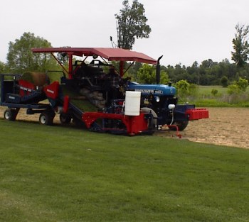 Our sod cutter